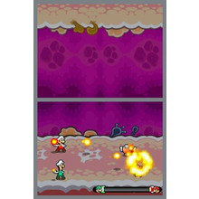 Mario & Luigi: Bowsers Inside Story