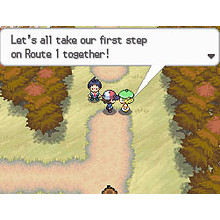 Pokemon: Black Version